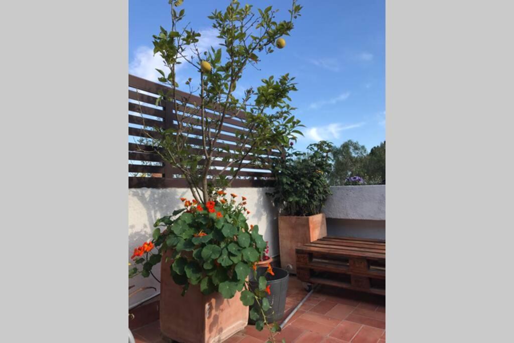 Casita blanca con fibra óptica y piscina cominutaria Tossa de Mar Exterior foto